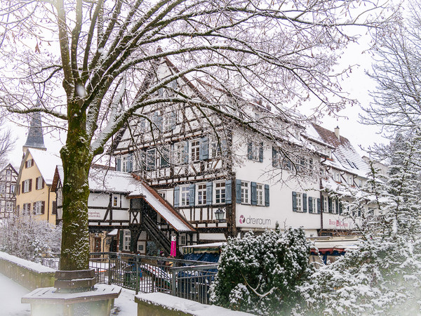 Nonnenhaus im Winter