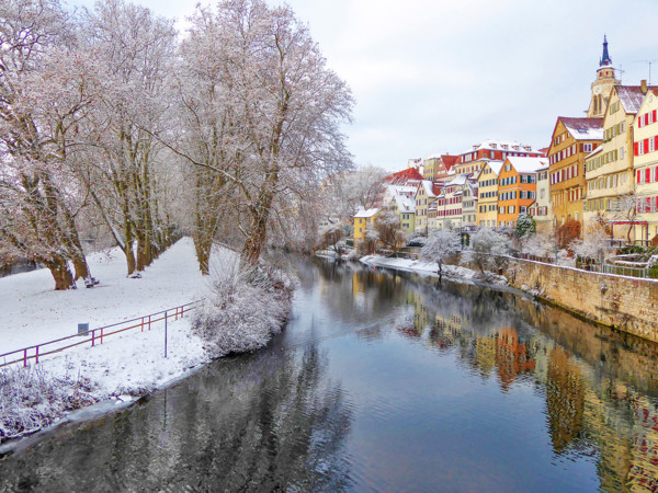 Winterliche Neckarfront mit Platanenallee